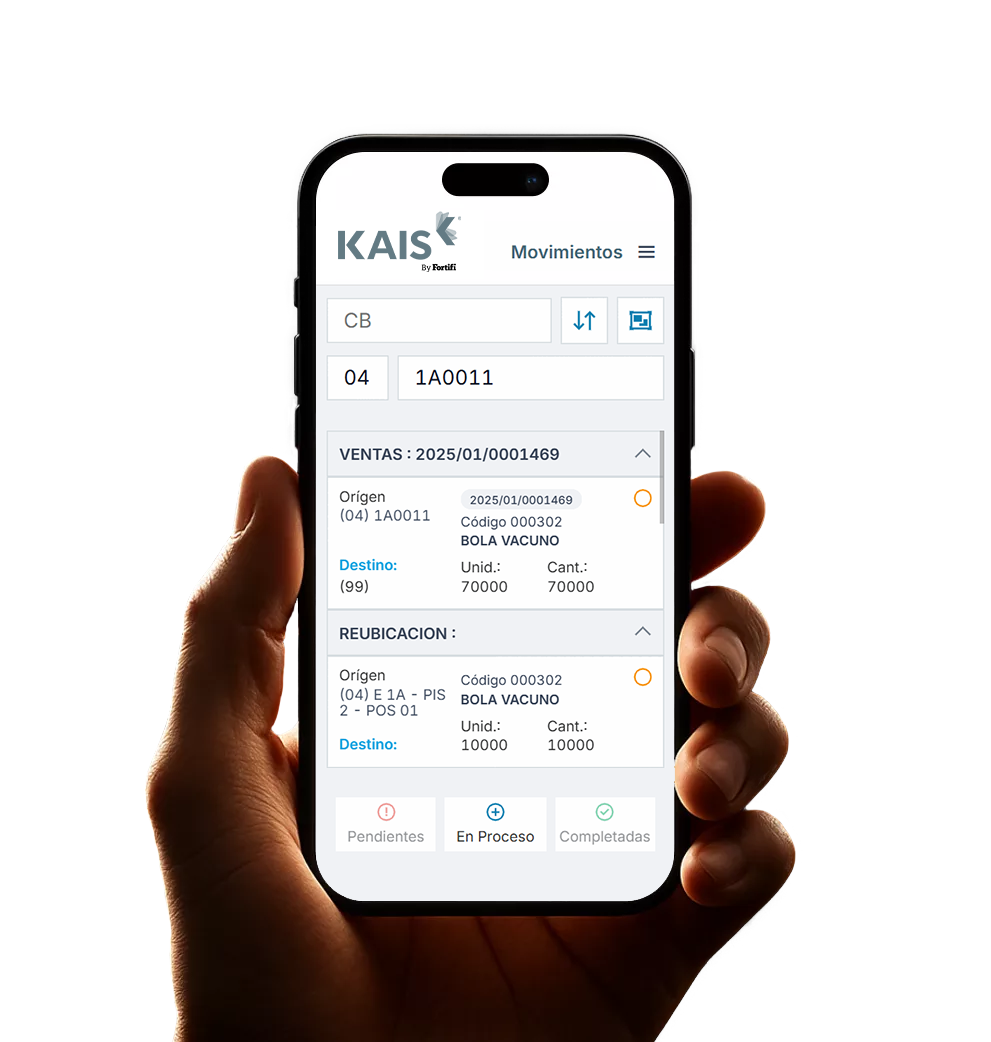 About Kais - Kais Software | Industrial software